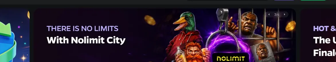Visit Wildies Casino banner